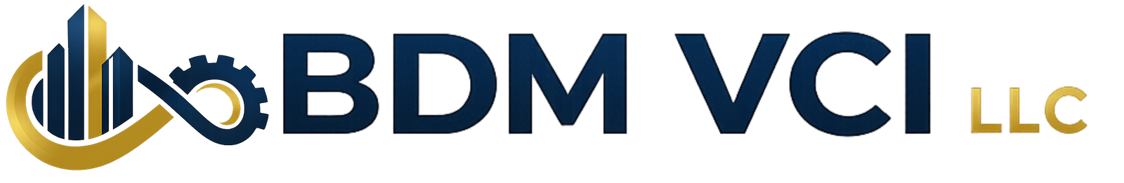 BDM VCI LLC