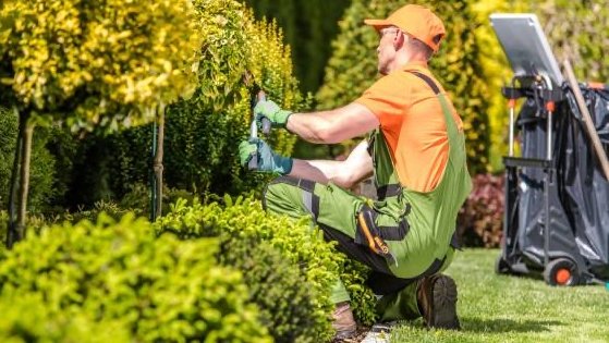 Garden Maintenance